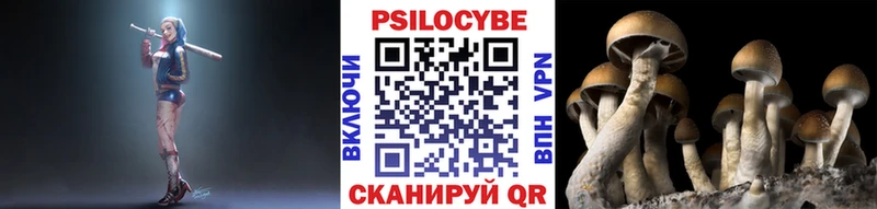 Галлюциногенные грибы GOLDEN TEACHER  Высоцк 