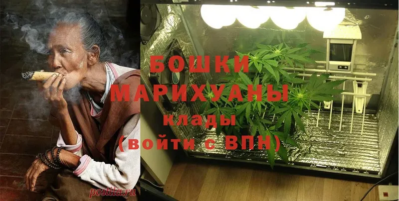 Канабис OG Kush  Высоцк 